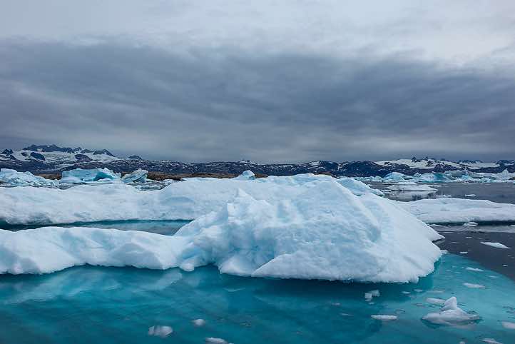 Ice floes, Sermilik Fjord