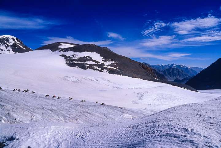 View from the top of Parang La pass, 5578m, Spiti to Ladakh Trek