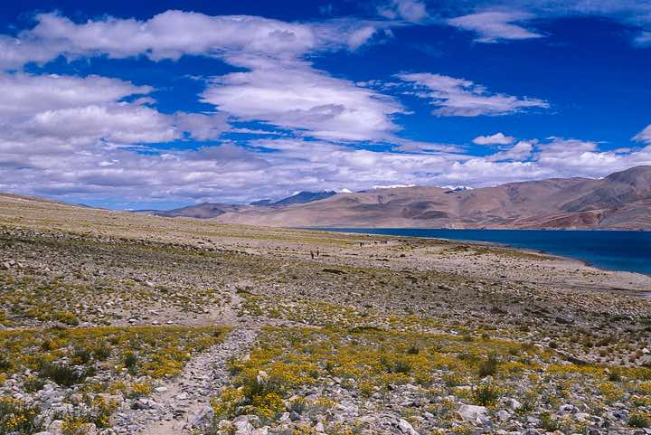 Tso Moriri lake, Changtang region, Ladakh, Spiti to Ladakh Trek