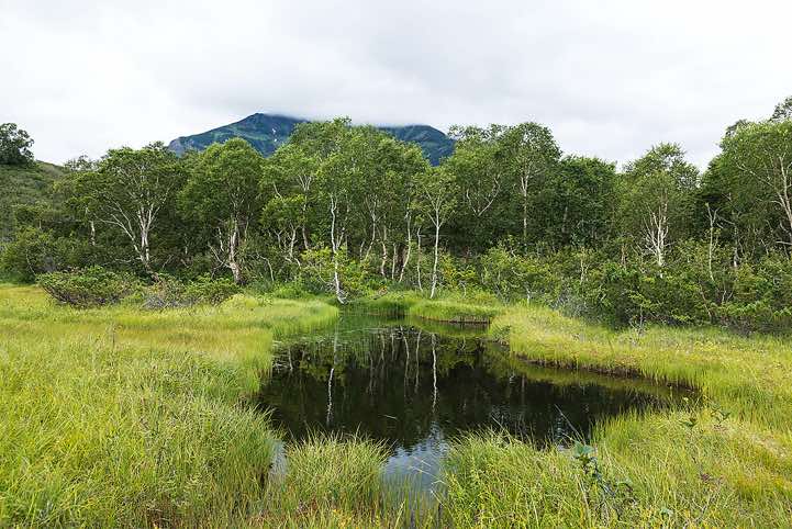 Landscape, Kamchatka wilderness, Pauzhetka area
