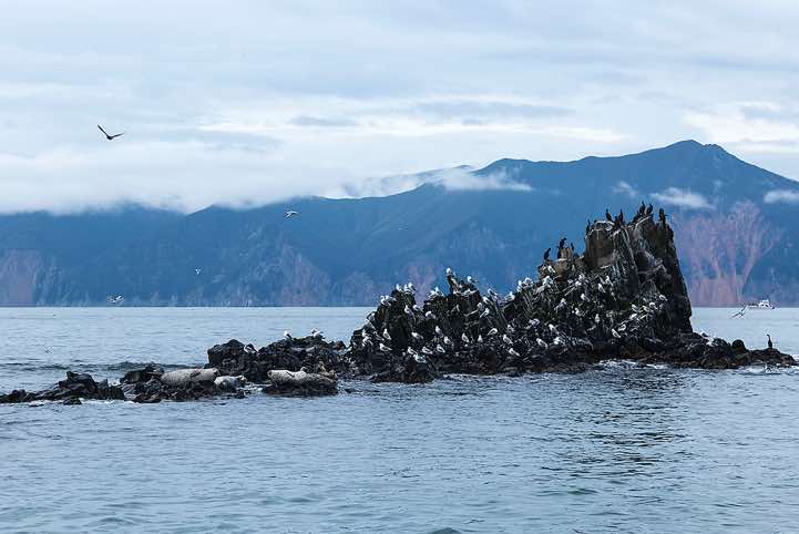 Avacha Bay, Petropavlovsk