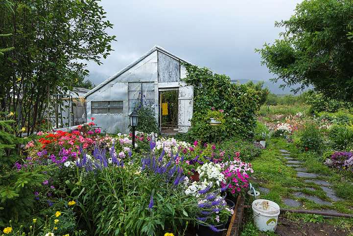 The geothermal power plant in Pauzhetka produces lots and lots of boiling water which the locals use to grow fruits and vegetables in the many greenhouses in and around the village