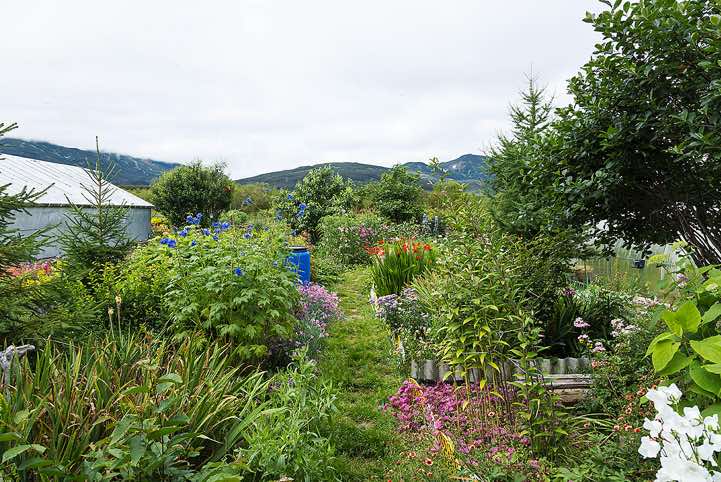 Wild garden, Pauzhetka village