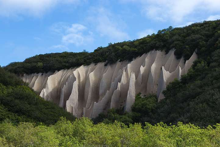 Exposure of pyroclastic-flow deposits from Kurile Lake caldera near Ozernaya River, Kamchatka, named Kuthiny Baty ('vertical standing boat') because of its erosionally fluted texture