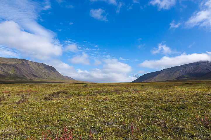 Tolud pass, around Tolbachik trek, Klyuchevskoy Nature Park