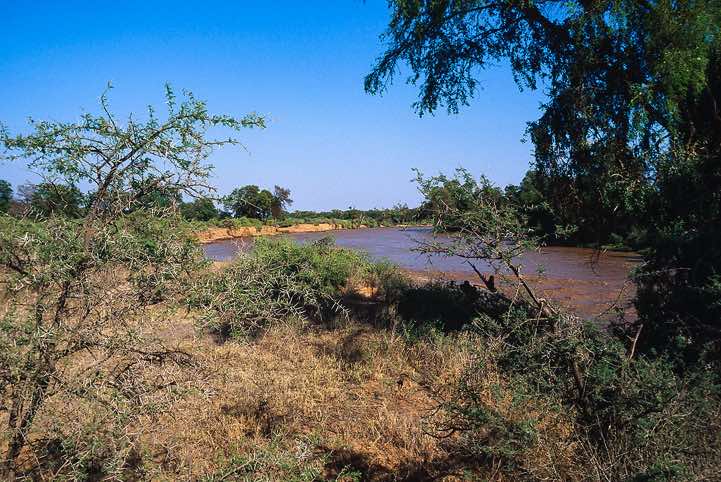 Ewaso Ngiro River, Samburu National Reserve
