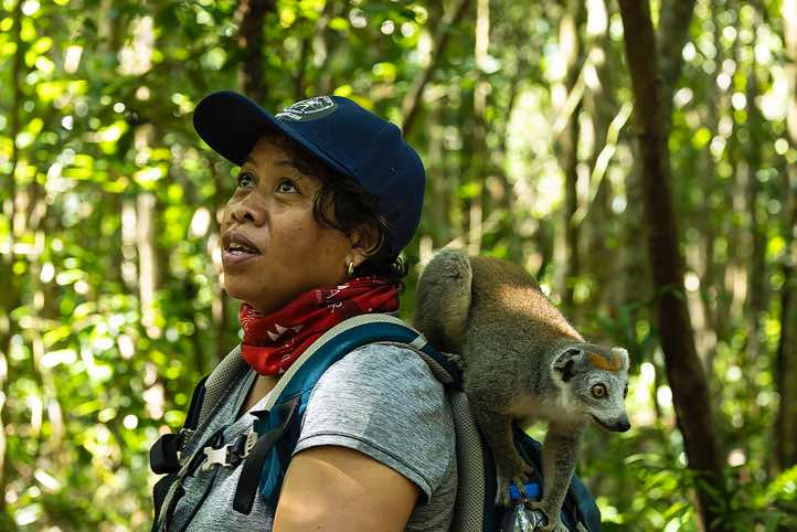 Local tour guide Chantal with female Crowned Lemur (Eulemur coronatus) on her back, Palmarium, Akanin'ny Nofy Reserve, Pangalanes Canal