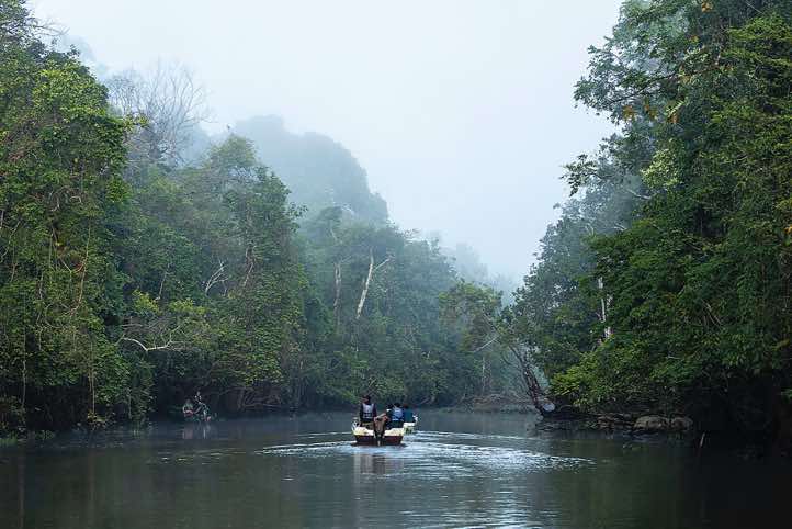 Kinabatangan River, Eastern Sabah, Borneo