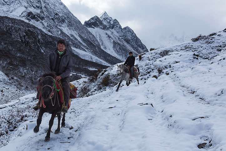 Horses on route from Sama (Samagaon) to Samdu in the Buri Gandaki Valley