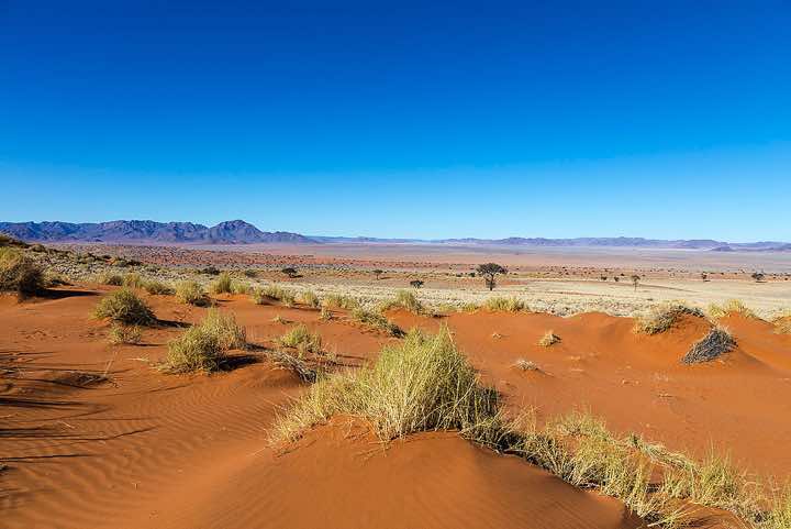 The vivid red dunes of NamibRand, NamibRand Nature Reserve, Namib Desert
