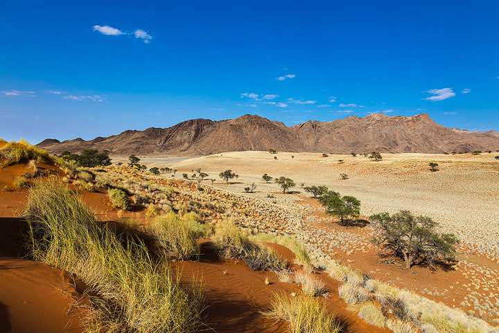 The vivid red dunes of NamibRand, NamibRand Nature Reserve, Namib Desert