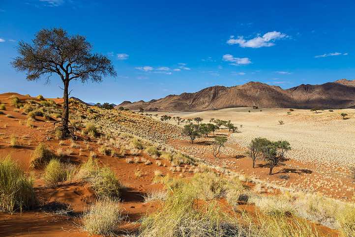 The red oxidised sand of the NamibRand dunes, NamibRand Nature Reserve