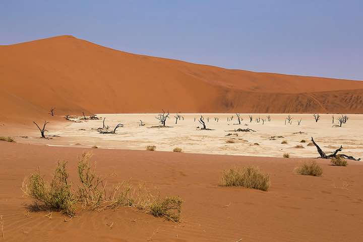 Dead tree skeletons and cracked clay surrounded by sand dunes, Dead Vlei, Namib-Naukluft National Park, Namib Desert