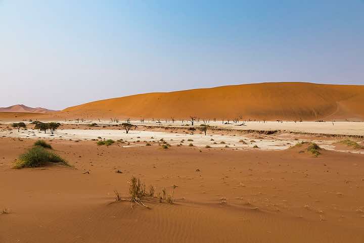 Dead Vlei, Sossusvlei dune field, Namib-Naukluft Park, Namib Desert