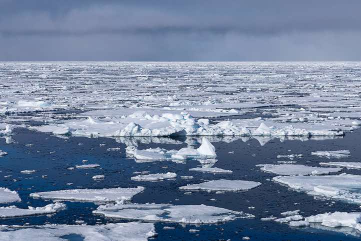Sea ice stretching to the horizon