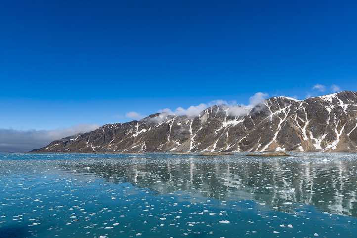 Holmiabukta, Fuglefjorden