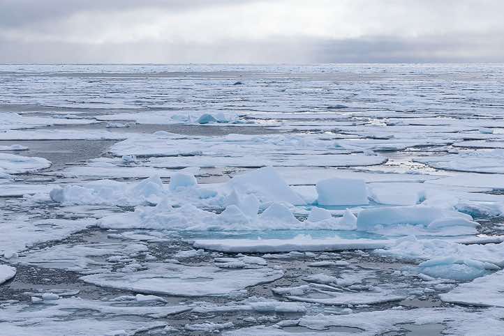 Sea ice comes in different shapes and forms