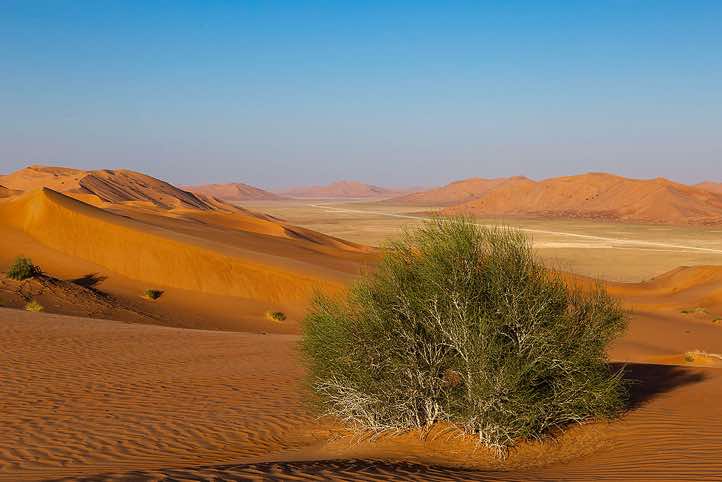 Sand dunes, desert landscape, Rub al Khali, Empty Quarter, Dhofar region