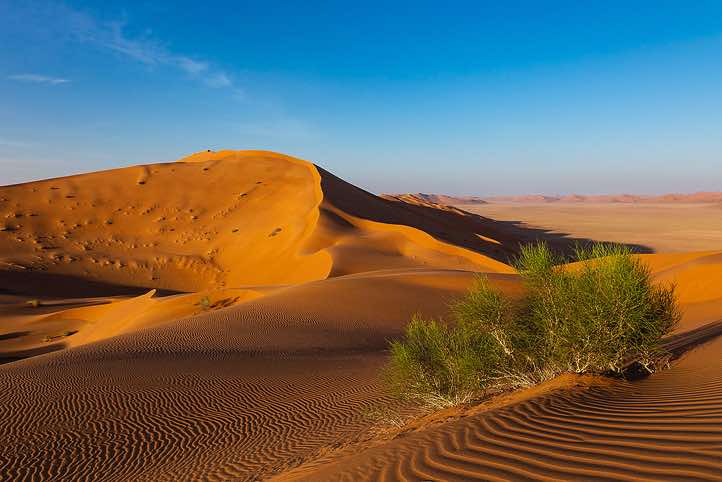 Sand dunes, desert landscape, Rub al Khali, Empty Quarter, Dhofar region