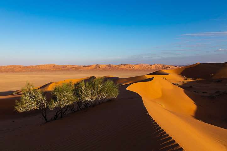 Dune crest, desert landscape, Rub al Khali, Empty Quarter, Dhofar region