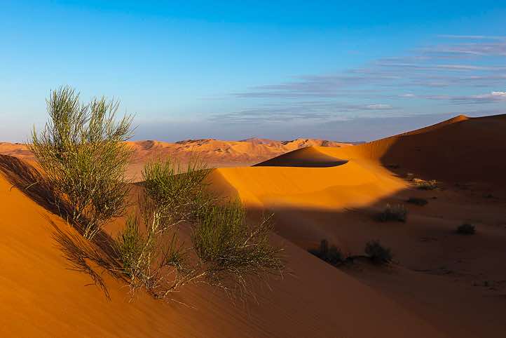 Dune crest, desert landscape, Rub al Khali, Empty Quarter, Dhofar region