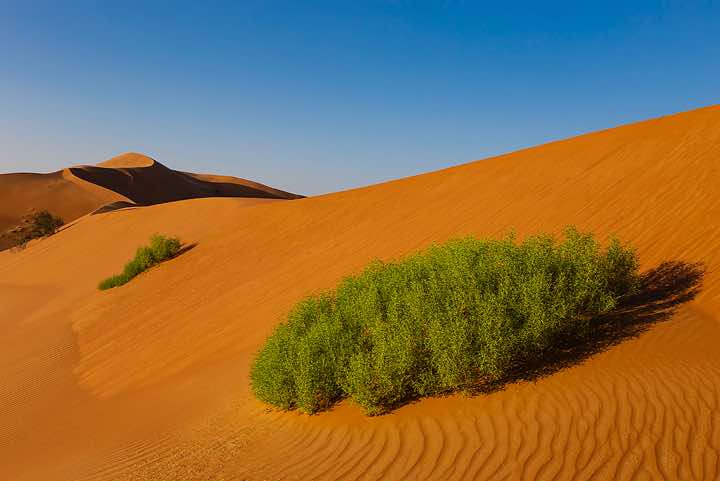 Sand dunes, desert landscape, Rub al Khali, Empty Quarter, Dhofar region