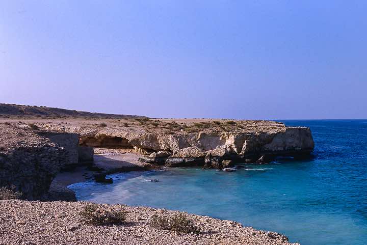 Campsite at the coast