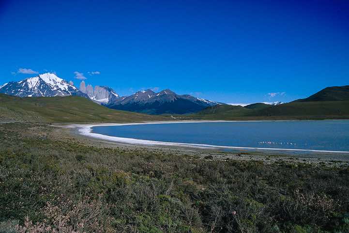 Laguna Amarga, Torres Del Paine National Park, Chile