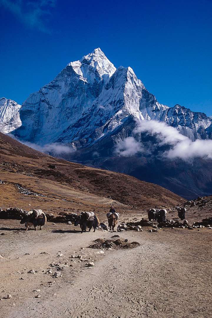Ama Dablam, 6856m, Thuklha to Dingboche trail