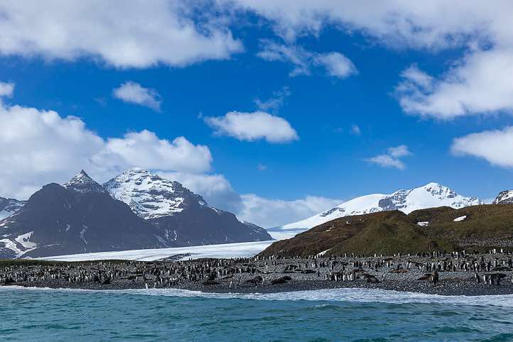 Zodiac cruise along the shoreline of Salisbury Plain in South Georgia, home to approximately 75,000 pairs of King Penguins