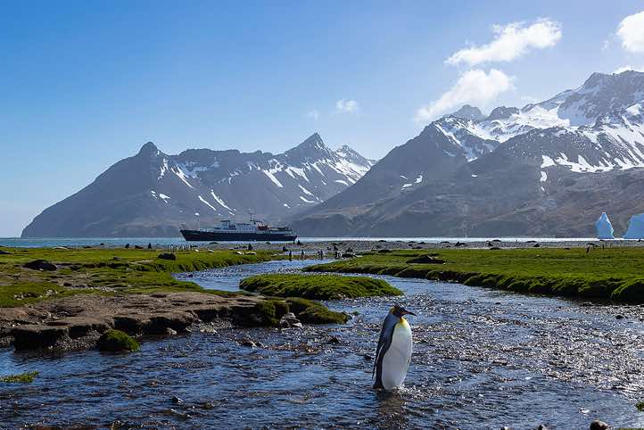 Plancius anchoring at Fortuna Bay, South Georgia