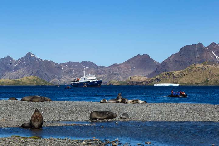 Plancius anchoring in Stromness Bay, South Georgia