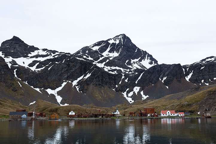 Grytviken settlement