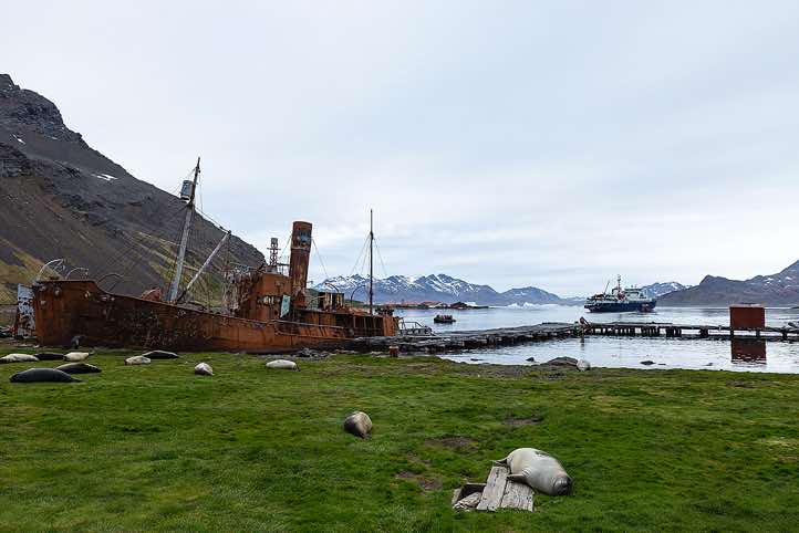 Ship wreck at the abandoned whaling station in Grytviken