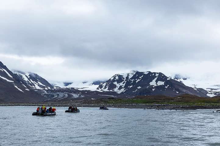 Zodiac cruise at St. Andrews Bay where 400,000 King Penguins, tens-of-thousands of Antarctic Fur Seals and thousands of Southern Elephant Seals are all jostling for space