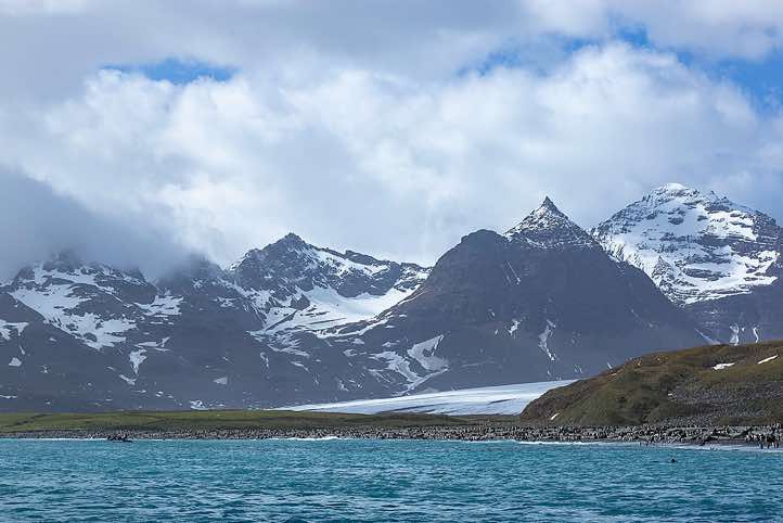 Zodiac cruise at Salisbury Plain, South Georgia