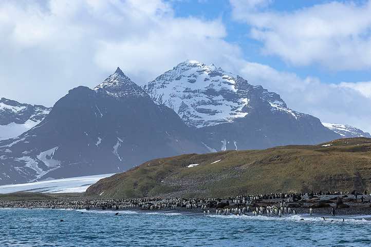 Zodiac cruise at Salisbury Plain, South Georgia