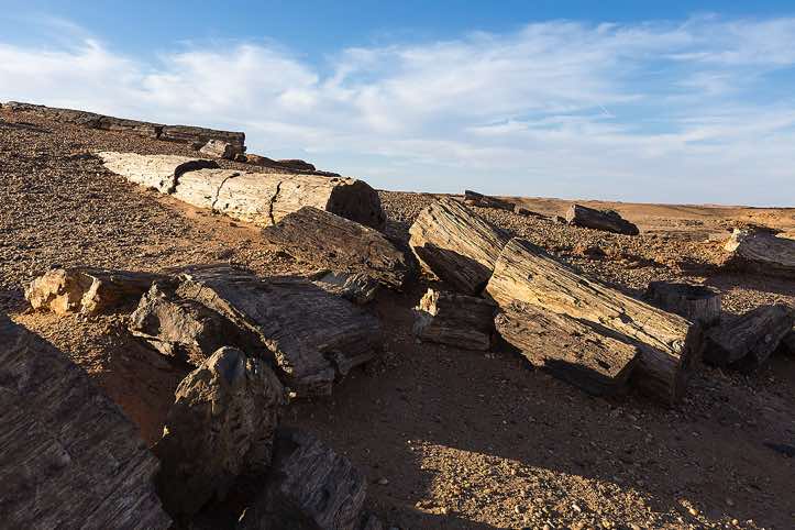 Site of petrified wood in the desert near Old Dongola