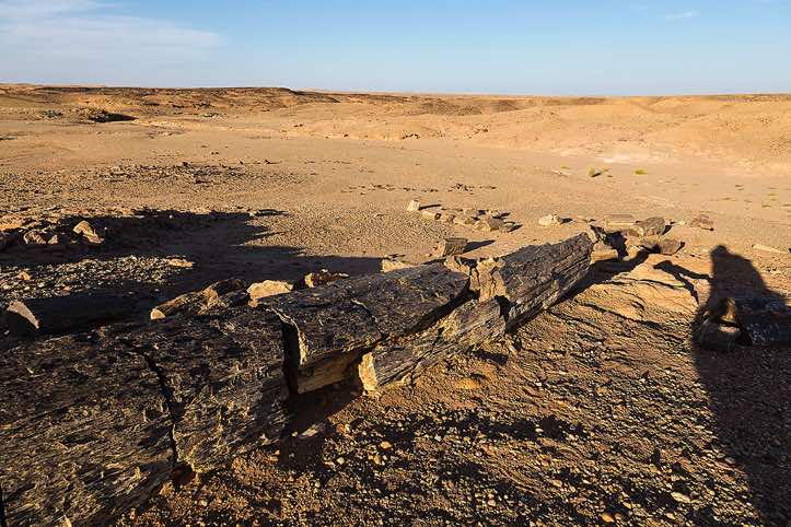 Site of petrified wood in the desert near Old Dongola