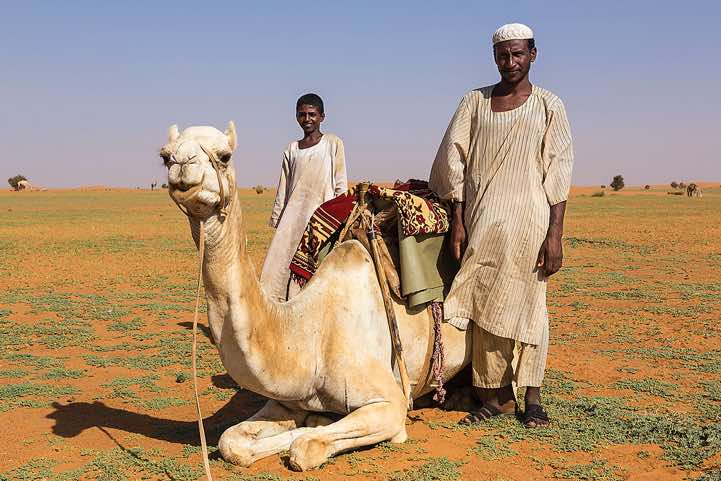 Nomads in the desert, Northern Sudan