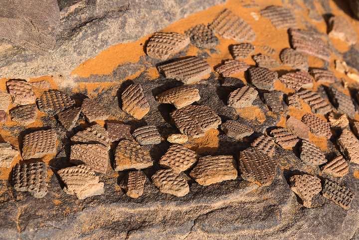 Pieces of historic pottery, Tadrart region, Tassili n'Ajjer National Park, Sahara, North Africa