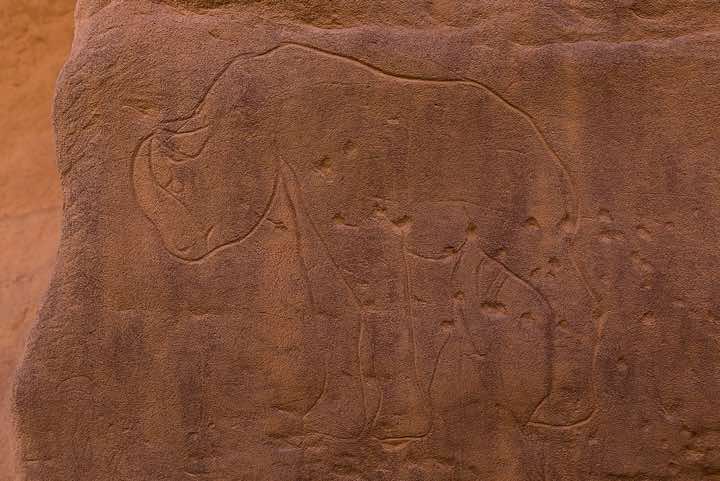 Rock engraving of a rhino, Neolithic rock art, Tadrart region, Tassili n ́Ajjer National Park, Sahara, North Africa