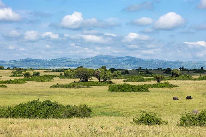 Landscape, Queen Elizabeth National Park