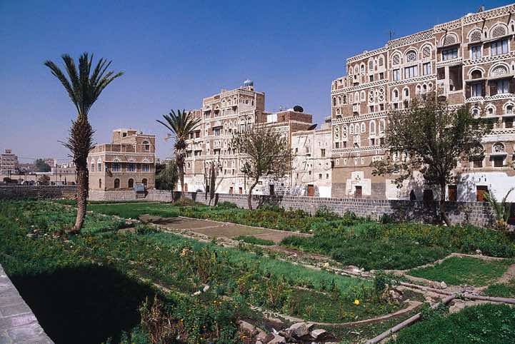 Garden, Old City of Sanaa (Sana'a)