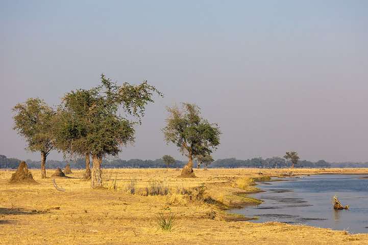 Banks of the Zambezi River, near Lower Zambezi National Park