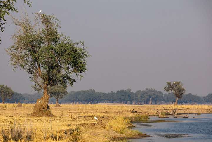 Banks of the Zambezi River, near Lower Zambezi National Park