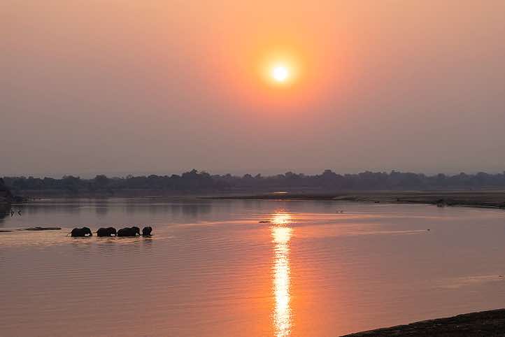 Elephants crossing the Luangwa River at sunset, seen from Wildlife Camp near South Luangwa National Park