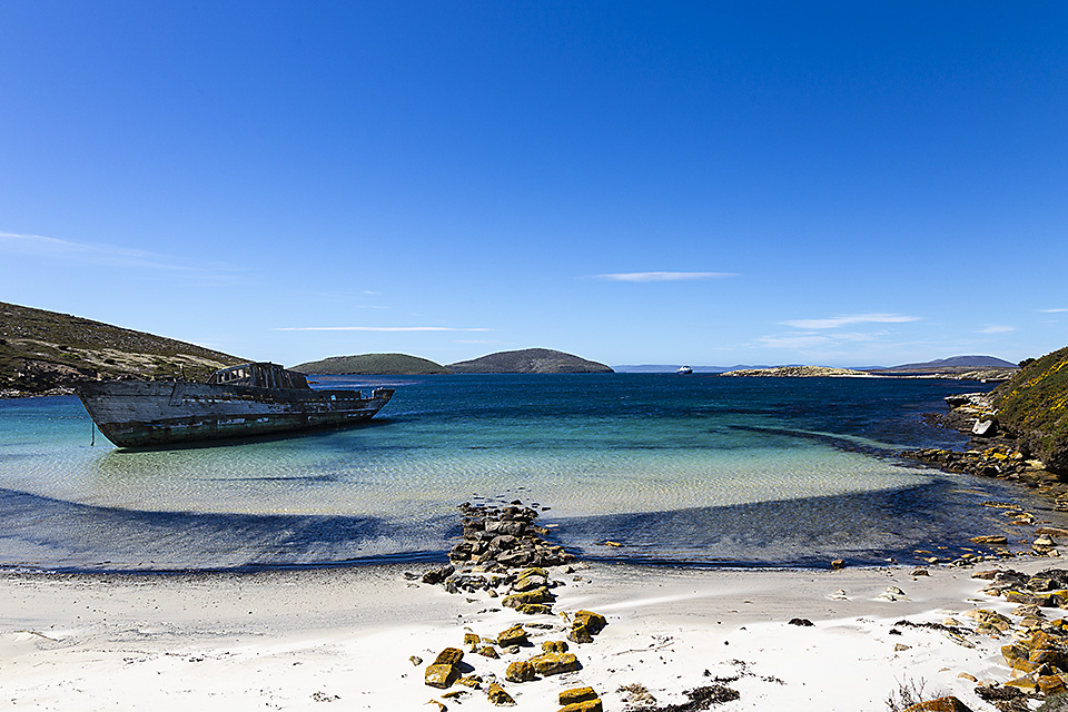 Landing site at Coffin’s Harbour, New Island, Falkland Islands