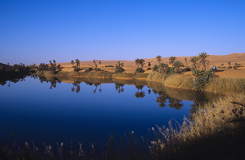 Date palm trees surround Um el Ma lake in the Ubari Sand Sea, Fezzan, Libyan Desert