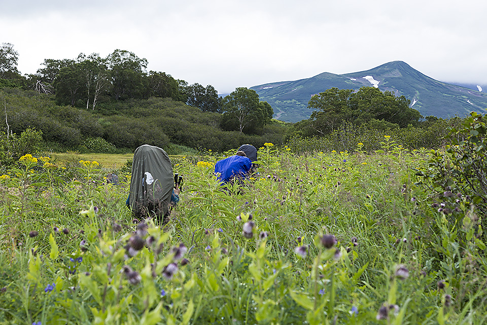 Trekking trough the Kamchatkan wilderness, Pauzhetka area, Southern Kamchatka